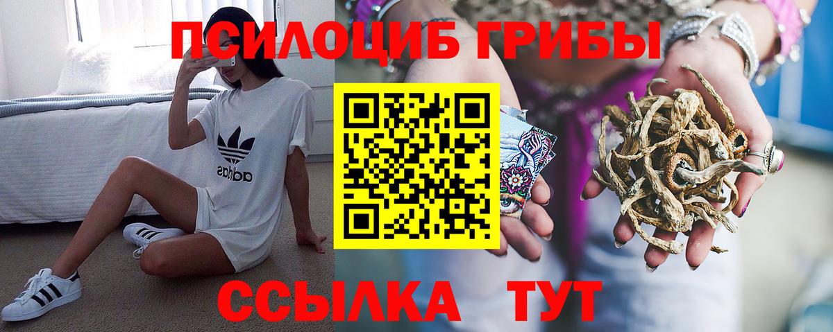 Псилоцибиновые грибы Psilocybine cubensis  Галлюциногенные грибы Psilocybine cubensis  Вход с VPN  Бор 